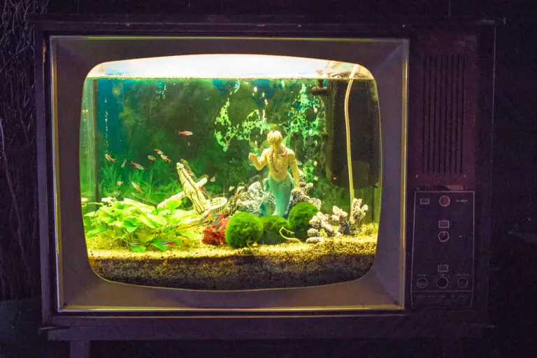 ein befülltes Aquarium in einem alten Fernseher mit einem Meerjungman und lebenden Fischen